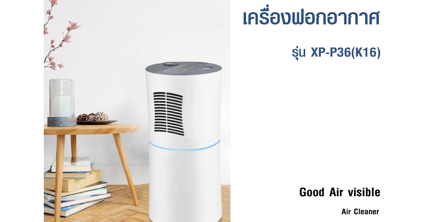 Air Purifier model XP-P36